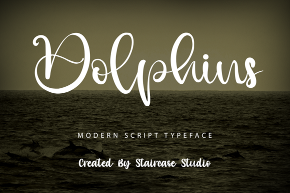 Dolphins: A Modern Script Font for Branding