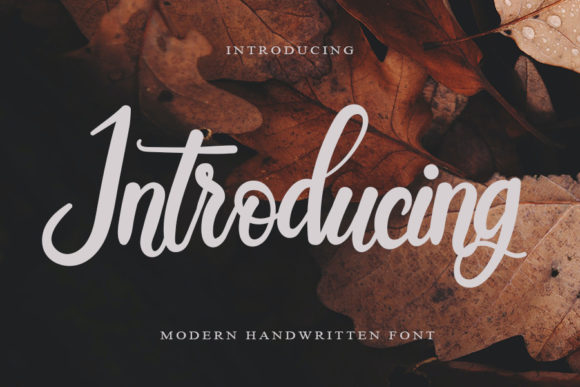 Introducing: The Script Font for Bold Campaigns