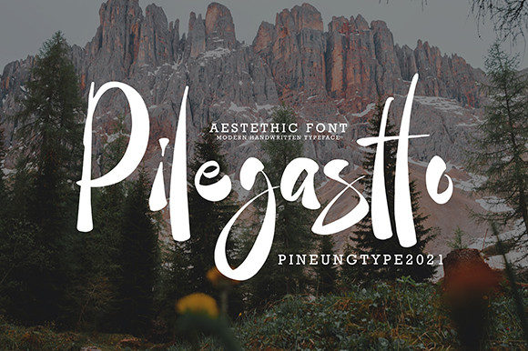 Pilegastto: The Handwritten Font for Bold Campaigns