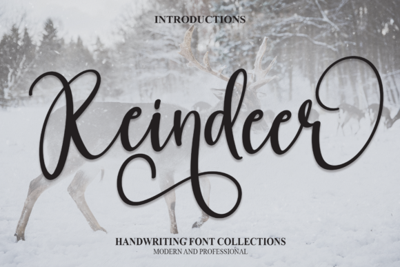 Reindeer Font: A Modern Script for Your Brand